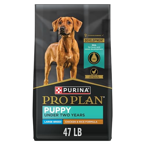 Purina Pro Plan Large Breed Chicken and Rice Formula Dry Puppy Food, High Protein Pet Food, 47 lb. Bag - Image 2