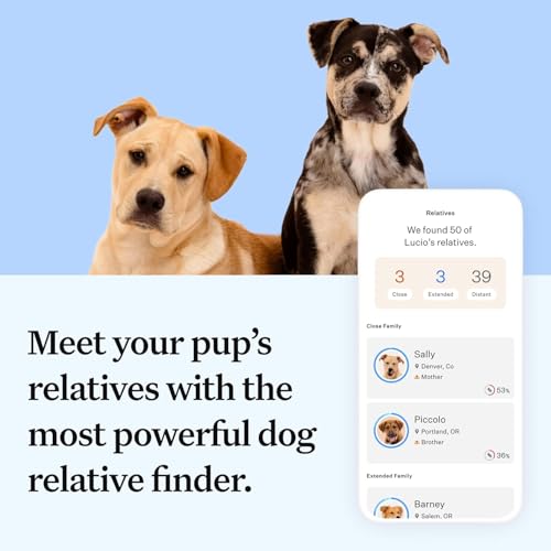 Wisdom Panel Essential Dog DNA Kit: Most Accurate Test for 365+ Breeds, 30 Genetic Health Conditions, 50+ Traits, Relatives, Ancestry - 1 Pack - Image 6