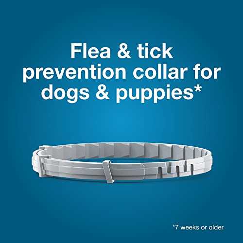 Seresto Large Dog Vet-Recommended Flea & Tick Treatment & Prevention Collar for Dogs Over 18 lbs. | 2-Pack - Image 6