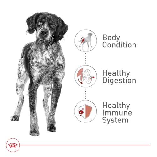 Royal Canin Size Health Nutrition Medium Adult Dry Dog Food, 30 lb Bag - Image 5