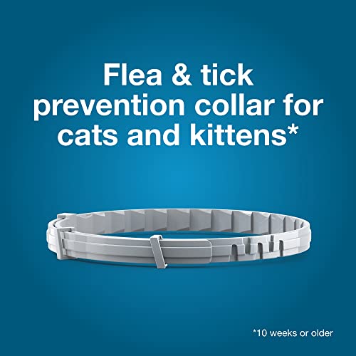 Seresto Cat Vet-Recommended Flea & Tick Treatment & Prevention Collar for Cats, 8 Months Protection | (Pack of 2) - Image 6