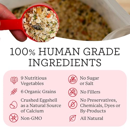 Dr. Harvey's Canine Health Miracle Dog Food, Human Grade Dehydrated Base Mix for Dogs with 9 Vegetables and 6 Organic Whole Grains (10 Pounds) - Image 4