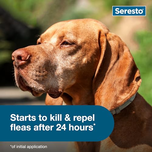 Seresto Large Dog Vet-Recommended Flea & Tick Treatment & Prevention Collar for Dogs Over 18 lbs. | 2-Pack - Image 7