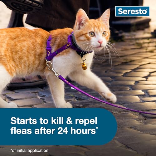 Seresto Cat Vet-Recommended Flea & Tick Treatment & Prevention Collar for Cats, 8 Months Protection | (Pack of 2) - Image 5