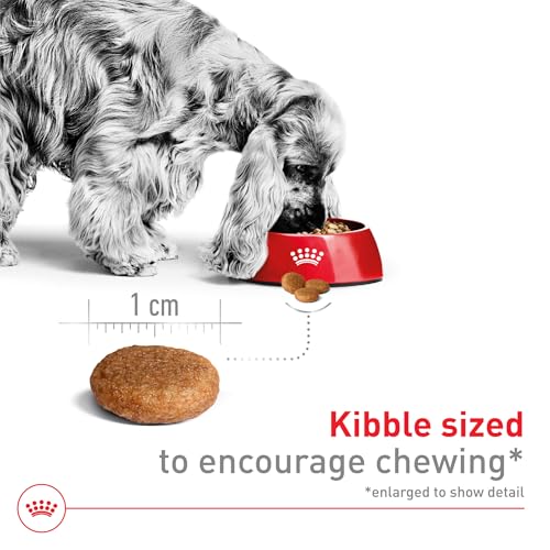 Royal Canin Size Health Nutrition Medium Adult Dry Dog Food, 30 lb Bag - Image 4