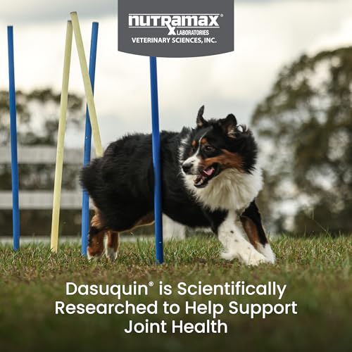 Nutramax Dasuquin for Large Dogs, Joint Health Supplement, Contains Glucosamine for Dogs, Plus Chondroitin, ASU, MSM and More, Supports Healthy Joints, Soft Chews, 150 Count - Image 3