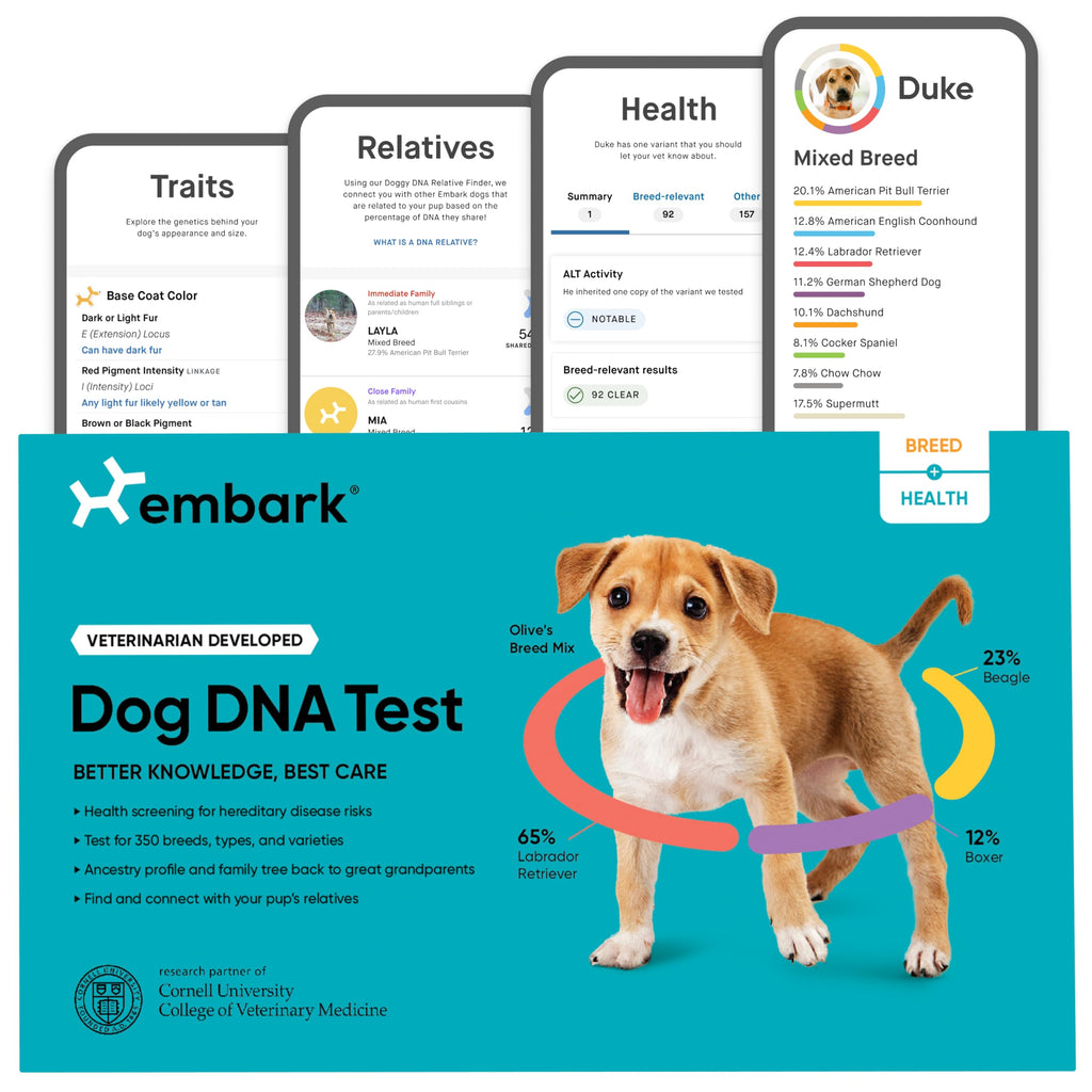 Embark Breed & Health Kit - Dog DNA Testing Kit - Discover Breed, Ancestry, Relative Finder, Genetic Health, Traits, Allergy Risk Scores - Image 1