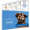 Wisdom Panel Essential Dog DNA Kit: Most Accurate Test for 365+ Breeds, 30 Genetic Health Conditions, 50+ Traits, Relatives, Ancestry - 1 Pack - Image 1
